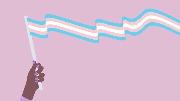 What is gender dysphoria and what does transgender youth care consist of?