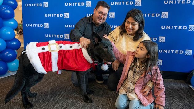 Pilot gives dog abandoned at airport a fur-ever home