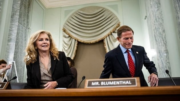 Bipartisan pair of lawmakers push to protect children online