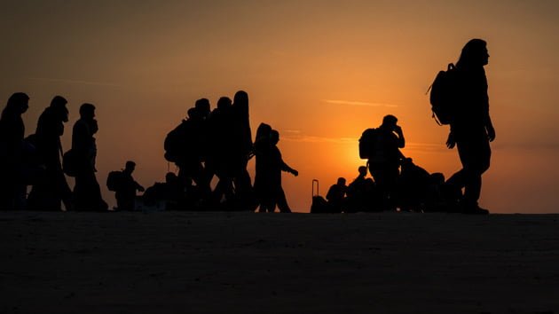 What is Title 8 immigration law?