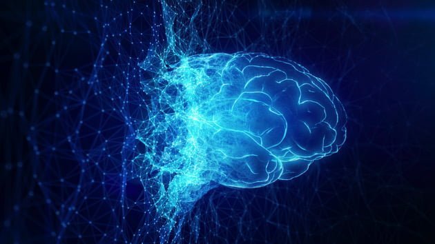 OpenAI CEO warns Senate: ‘If this technology goes wrong, it can go quite wrong’