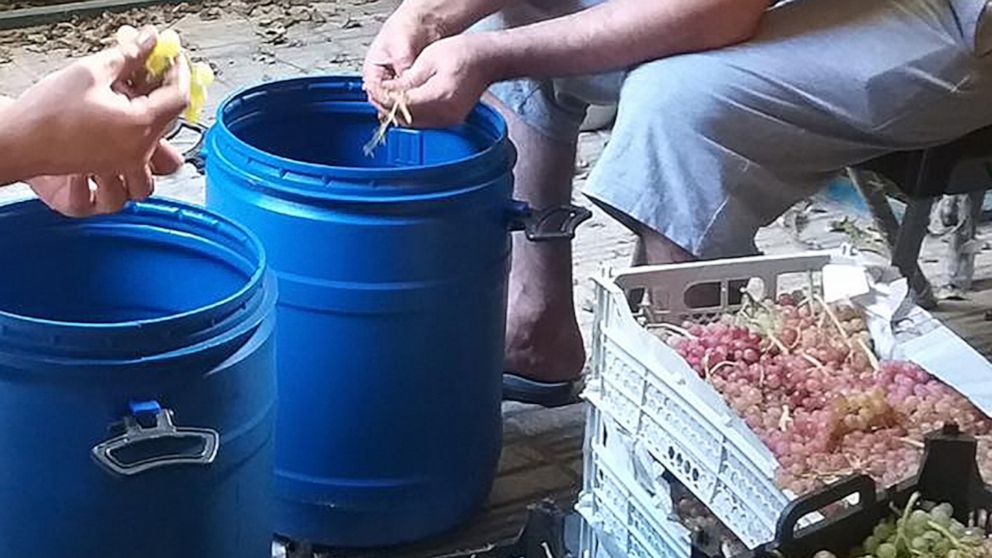 Grape juicing banned at Tehran fruit market to halt home winemakers