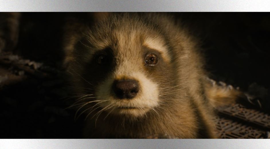 Bradley Cooper on saying goodbye to Rocket Raccoon in ‘Guardians of the Galaxy Vol. 3’
