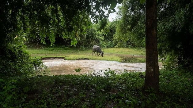 Hundreds of new species discovered in this remote part of the world, researcher say