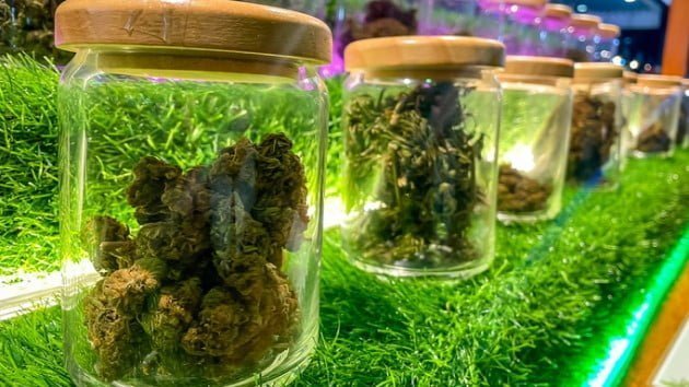 Food, drink, pot under one roof: California state bill could allow for cannabis cafes