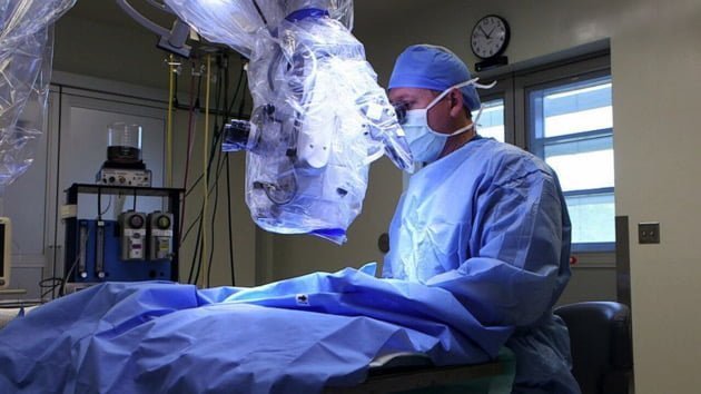 Surgeons perform kidney transplants in cats amid rising demand for advanced pet care