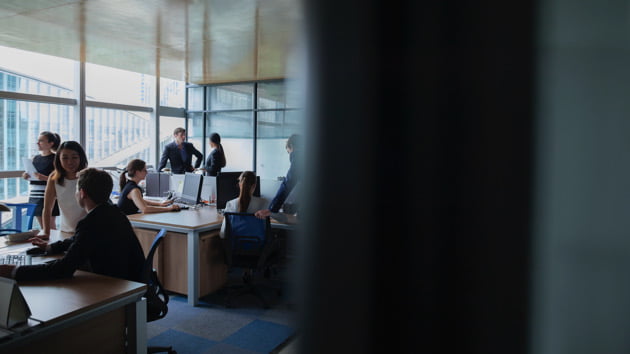 How corporate America is slashing DEI workers amid backlash to diversity programs