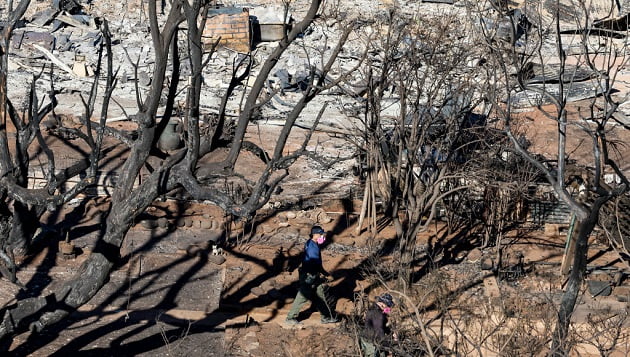 How the Maui wildfires are affecting people’s physical and mental health