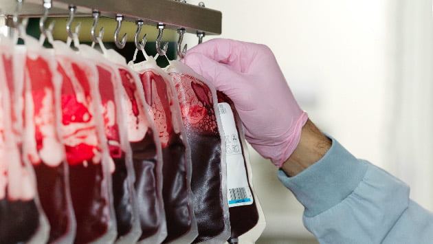 Red Cross implements FDA policy allowing more gay and bisexual men to donate blood