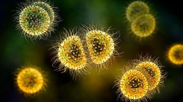 Virginia experiencing statewide outbreak of serious meningococcal disease: Officials