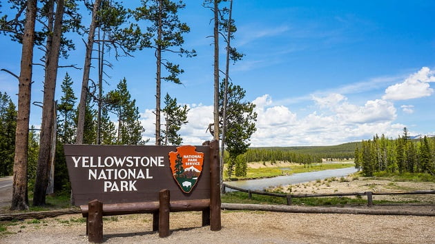 Grizzly bear that killed woman weeks ago euthanized after recently breaking into Montana home, officials say