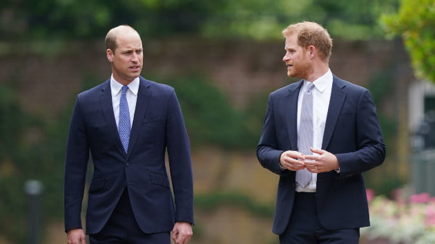 Prince William briefed the press about Prince Harry, author claims in new book