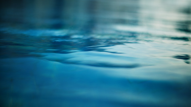 Sea otters, once hunted to near extinction, are preventing coastal erosion as their populations grow, study finds