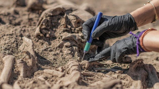 Archaeologists announce discovery of Anglo-Saxon cemetery with bodies and treasures dating back 1,500 years