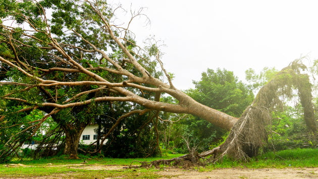 California storm live updates: State of emergency in effect as flooding, mudslides hit Southern California
