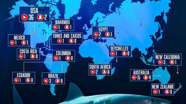 Ten people killed in unprovoked shark attacks last year, report finds