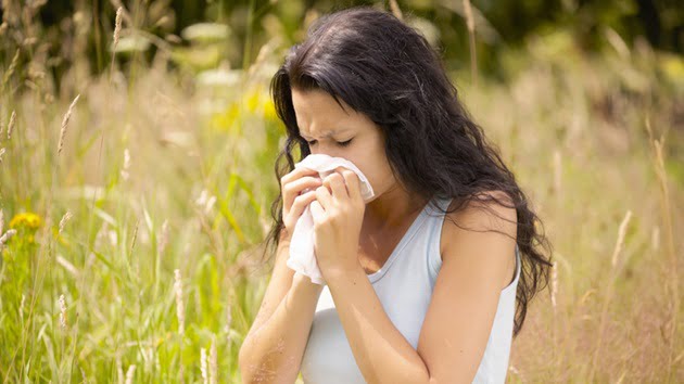 Why pollen season is starting earlier and how it could affect allergies