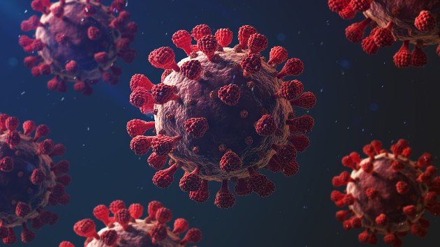 Second human case of bird flu confirmed in Michigan, bringing total this year to three