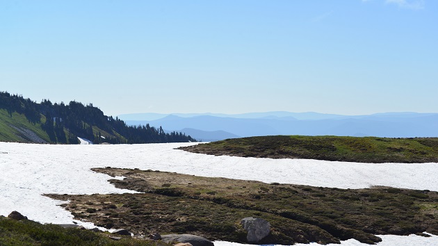 Body of skier missing since May recovered from Washington park