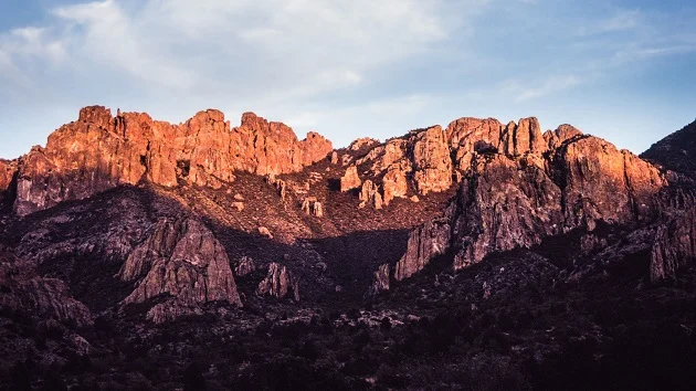 Fossils from giant possum-like mammal that lived 60 million years ago found in Texas