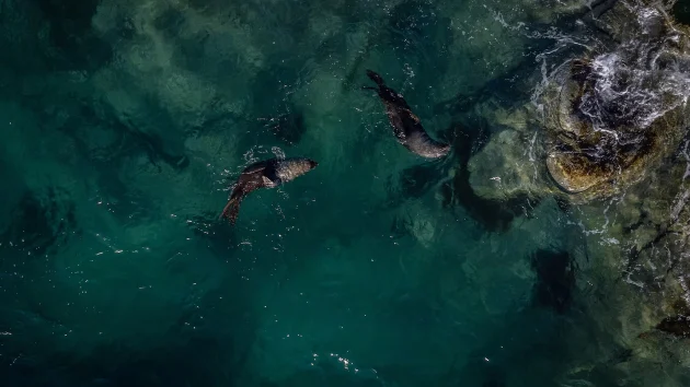 The ocean is changing colors, researchers say. Heres what it means.