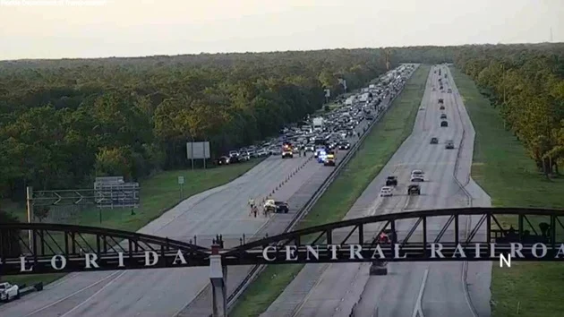 Elderly man killed while saving turtle on Florida interstate