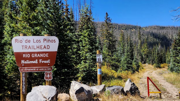 Missing elk hunters were killed by lightning that struck nearby tree: Official