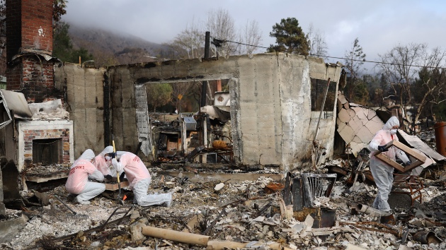 Arrest made in connection with Palisades Fire: Sources