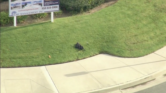 Former student stabs 3 staff members, plants 2 pipe bombs in California attack: Police