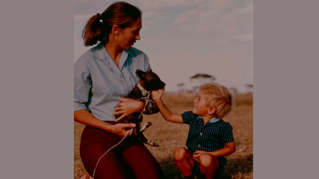 Jane Goodall, famed primatologist and conservationist, dies at 91