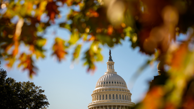 One year out from Election Day 2026, Tuesday’s results could shape 2026 midterms