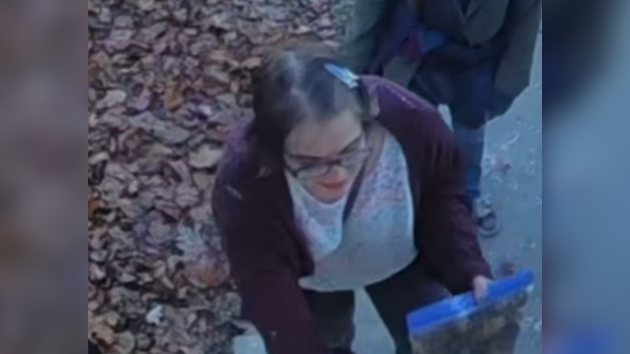 ‘Slender Man’ stabbing assailant Morgan Geyser taken into custody after fleeing group home: Police