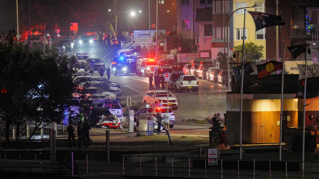 New York, Los Angeles law enforcement on alert in wake of Bondi Beach fatal shooting