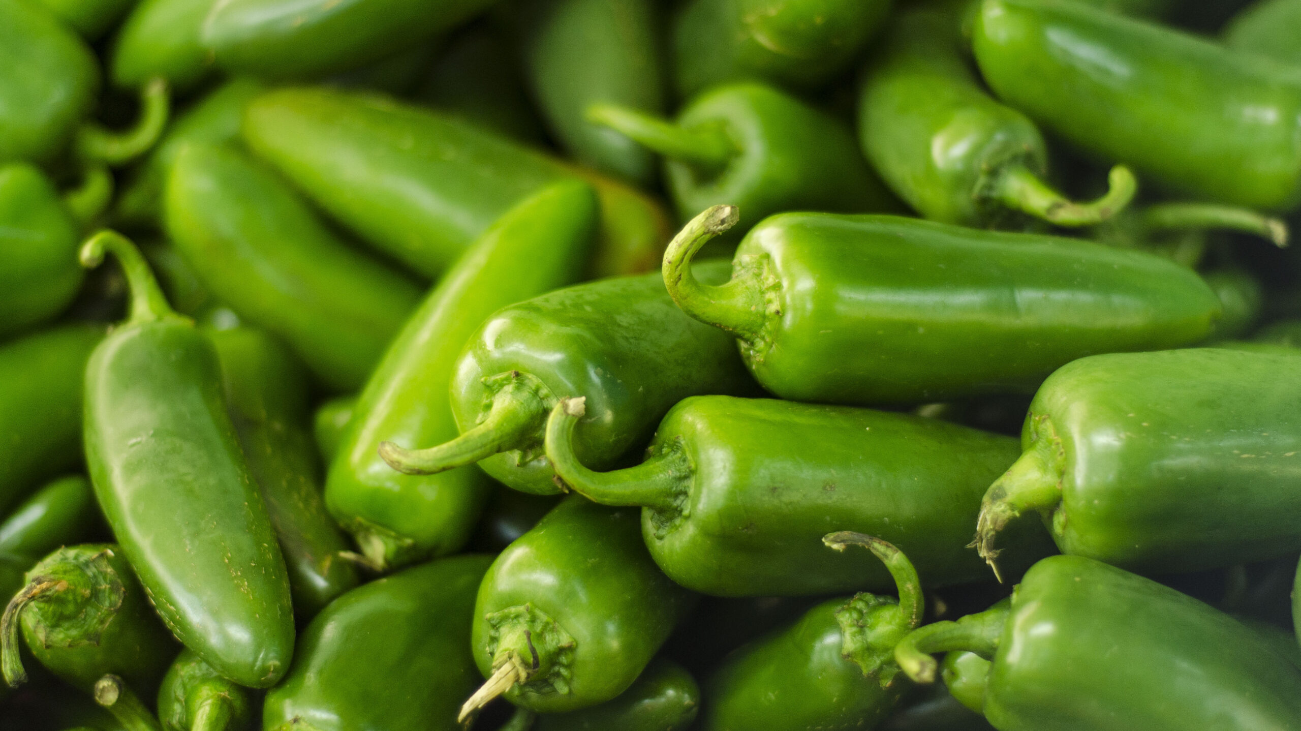 Salmonella outbreak linked to jalapenos served at Chipotle expands to Qdoba: FDA