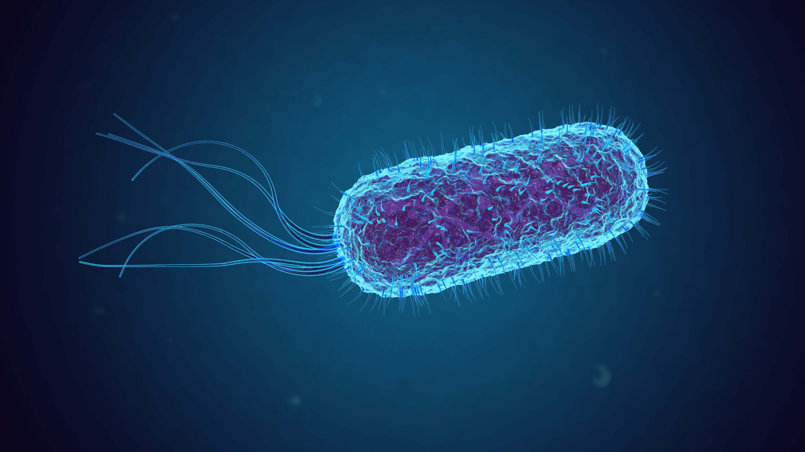 5 cases of E. coli confirmed in San Luis Obispo, possibly linked to local farm: Health officials