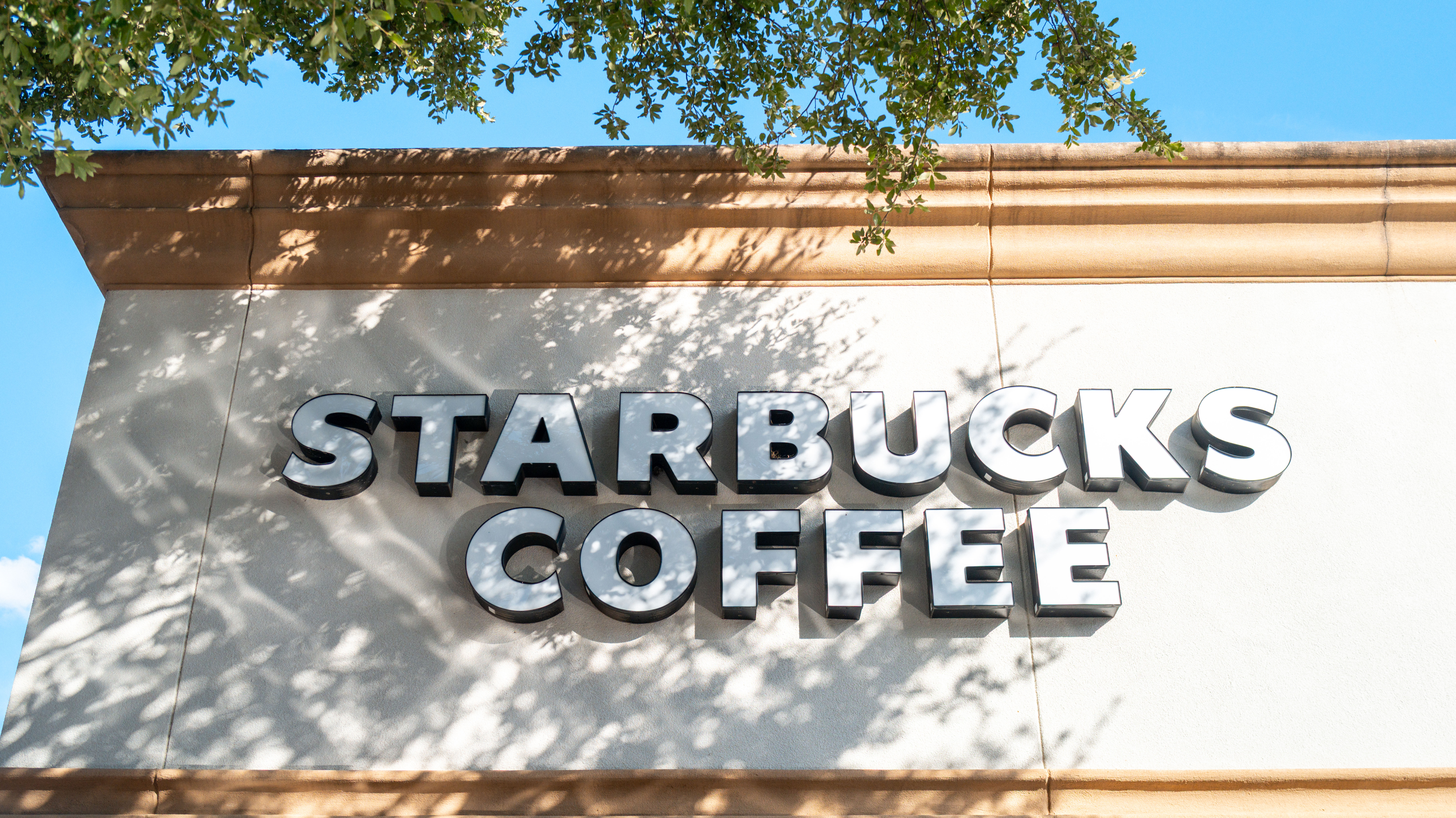Starbucks sued over alleged ‘substantial amounts of sugar’ in ‘sugar-free’ drinks, company denies claims
